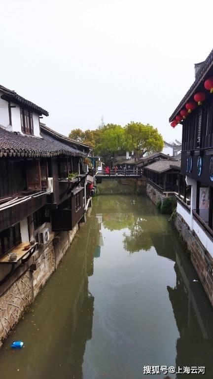 天然“胰岛素”找到了,每天坚持泡水喝,净化血液,血糖更平稳!